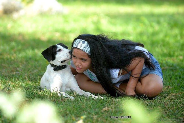 13001 Jr, Mantaro 474, Trujillo 13001