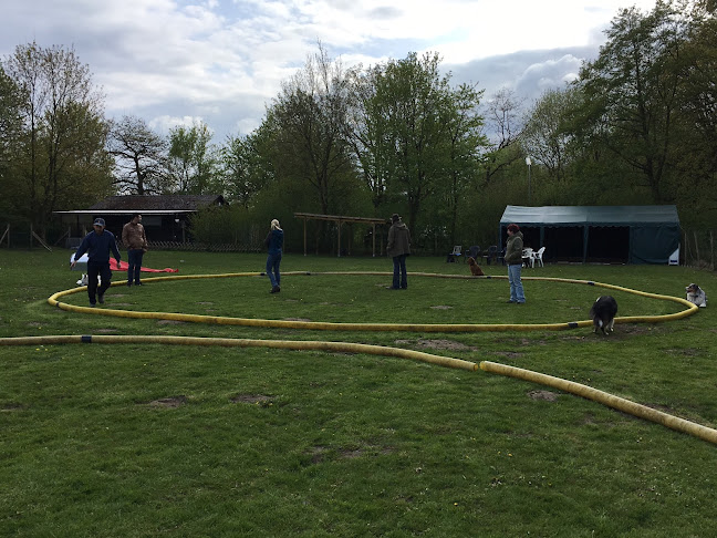 LE WALDI Hundeschule