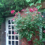 Photo n°1 de l'avis de J.� fait le 14/07/2019 à 12:45 sur le  Ferienhof Fellhorst à Hummelfeld