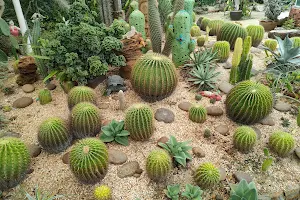 Phuket Botanic Garden image