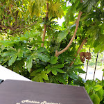 Photo n°2 de l'avis de Christian.m fait le 23/08/2021 à 07:37 sur le  Antica Trattoria e Bar Agli Olmi à Barbarano Mossano