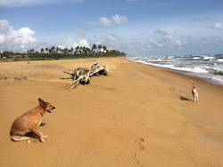 Foto von Pothupitiya Beach mit lange, gerade küste