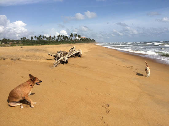 Pothupitiya Beach