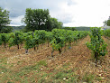 Vignoble M.C. Roch Gourdon