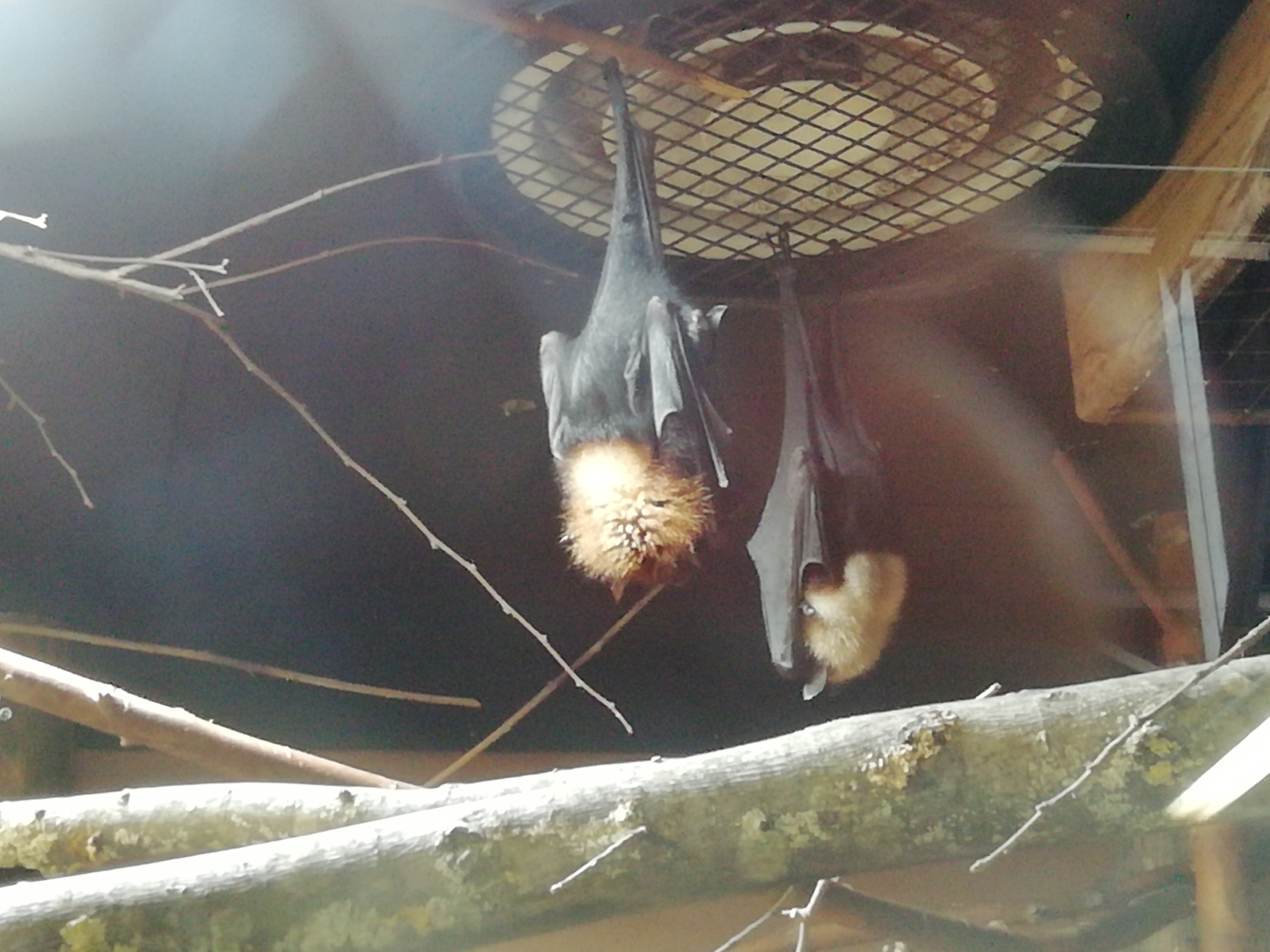 Photo n° 6 de l'avis de José.a fait le 22/08/2021 à 22:03