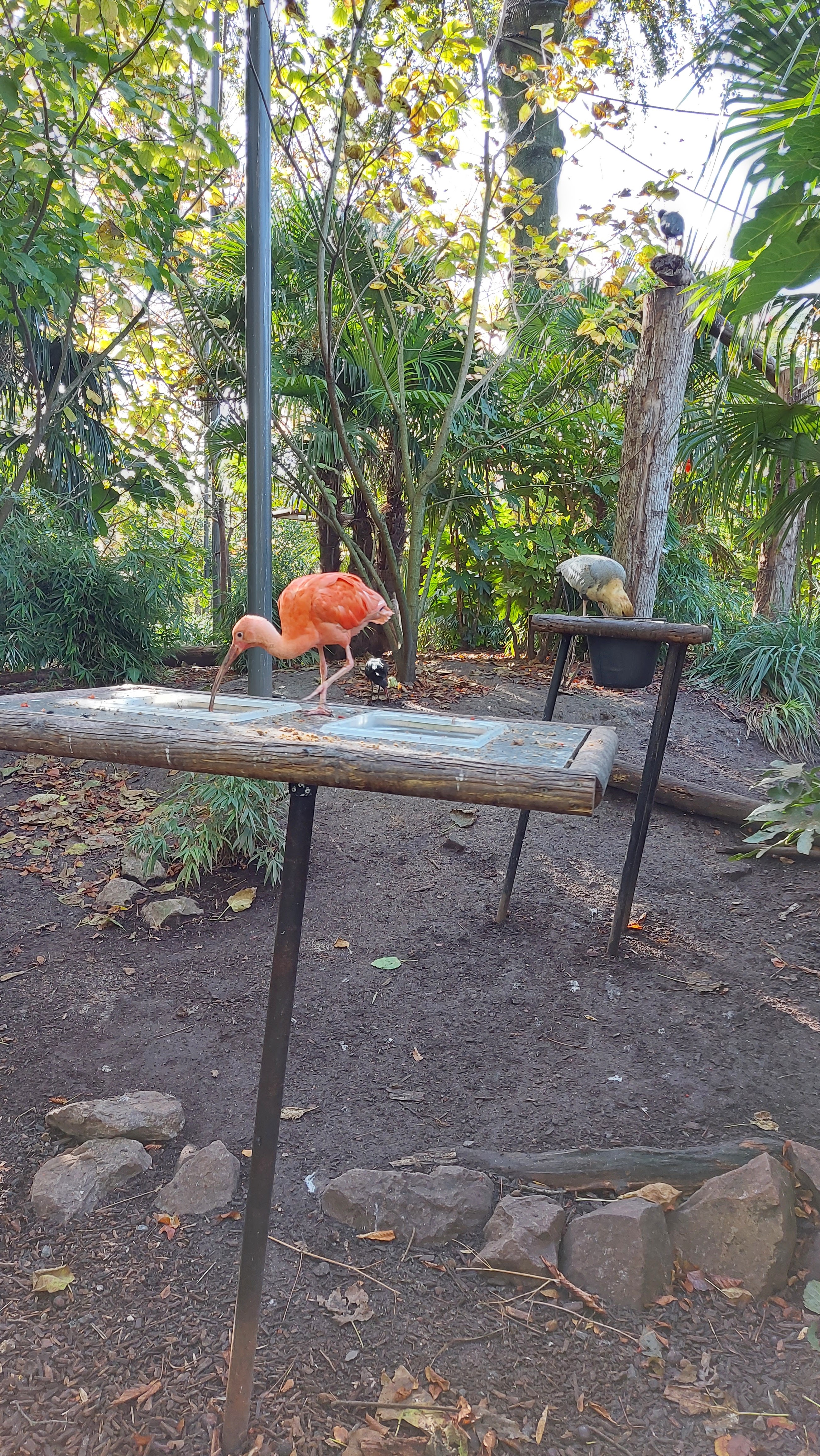 Photo n° 1 de l'avis de Jean-Luc.a fait le 28/10/2022 à 07:36