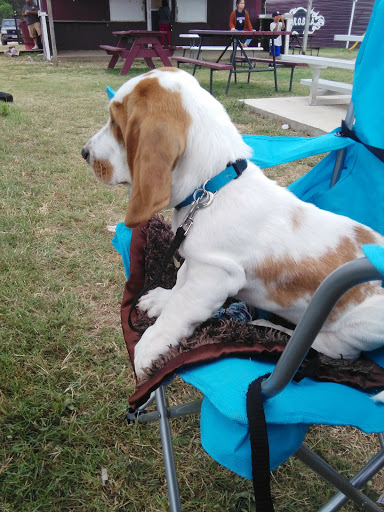 Park «Watkins Park», reviews and photos, 101 Live Oak St, Red Oak, TX 75154, USA