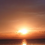 Photo n°3 de l'avis de Gerd.. fait le 27/09/2023 à 08:19 sur le  La Taverna Marconi à Lazise