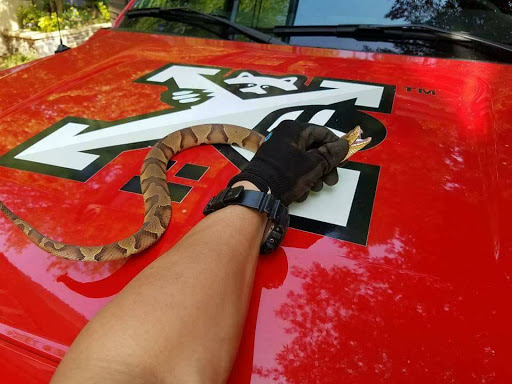 Animal Control Service «Xceptional Wildlife Removal», reviews and photos