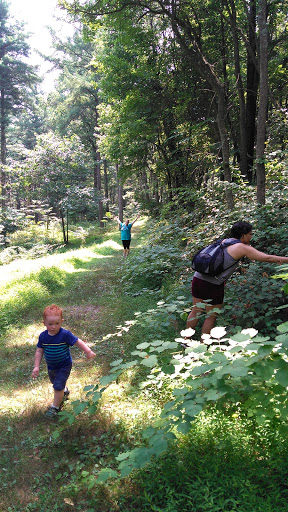 Nature Preserve «Strawberry Hill Nature Preserve», reviews and photos, 1537 Mt Hope Rd, Fairfield, PA 17320, USA