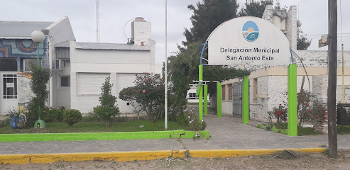 Delegacion Municipal Puerto SAE
