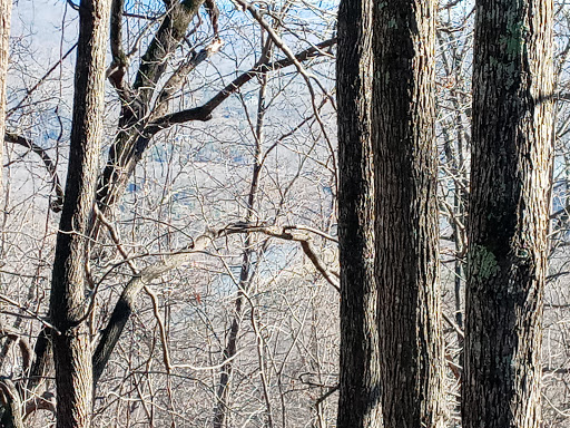 Observation Deck «Chimney Rock», reviews and photos, 431 Main St, Chimney Rock, NC 28720, USA