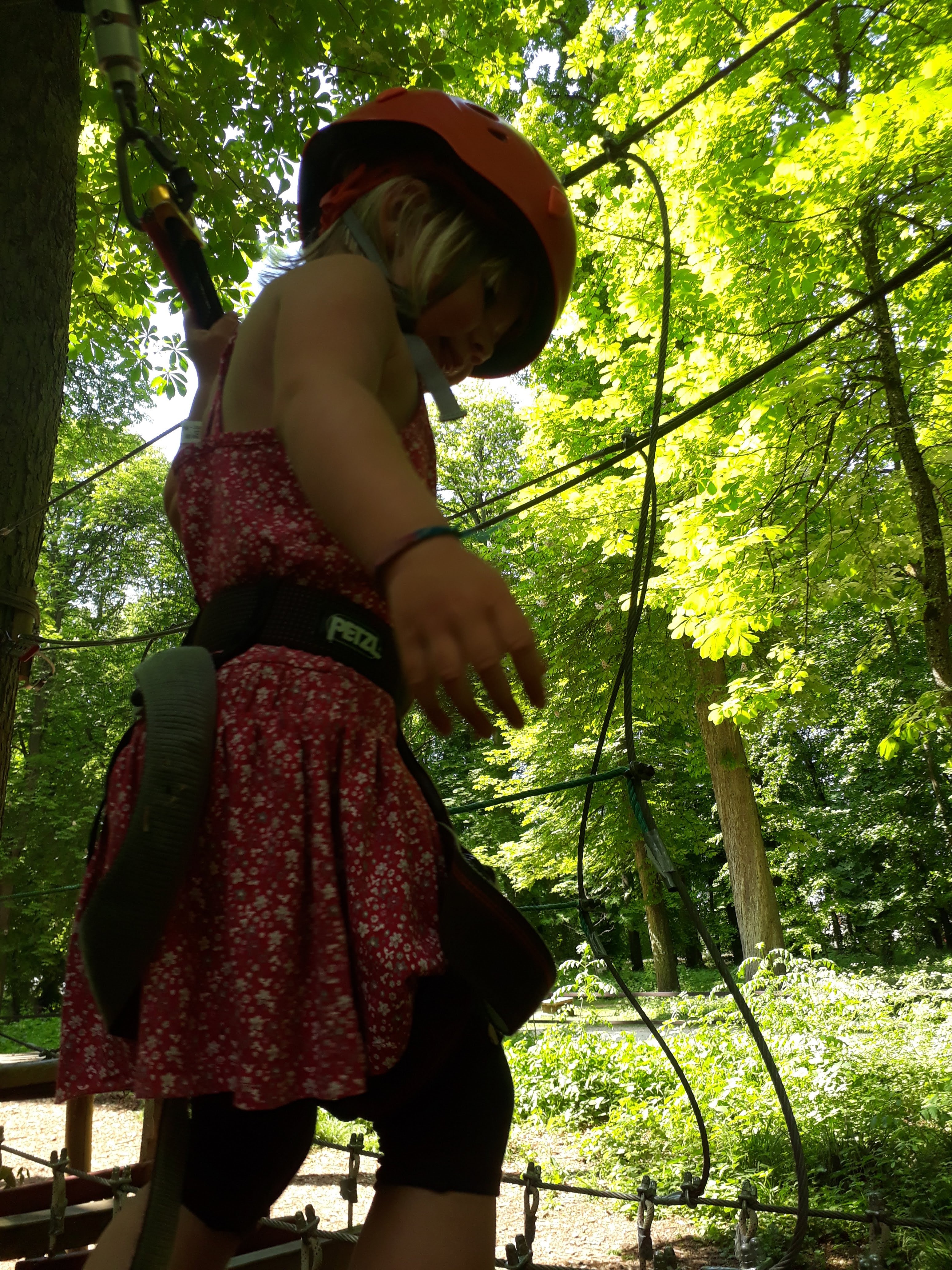 Photo n° 1 de l'avis de Elise.R fait le 24/05/2018 à 15:31