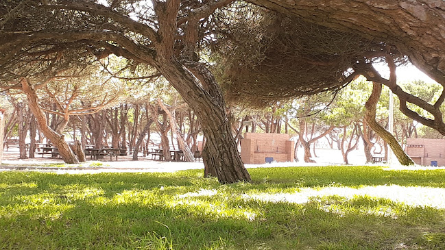 Parque Merendas São Pedro - Figueira da Foz