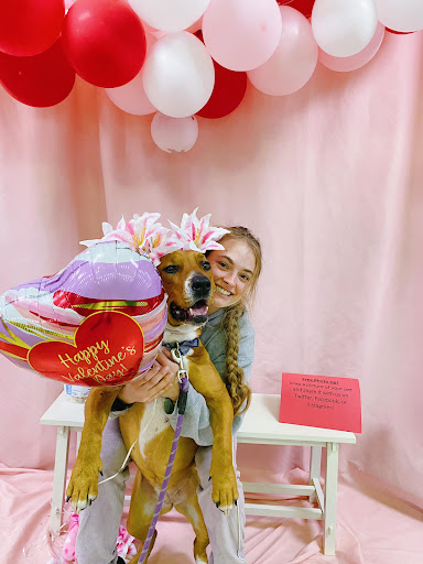 Pet Supply Store «Southern Agriculture», reviews and photos, 6501 E 71st St, Tulsa, OK 74133, USA