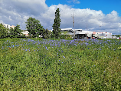 AMUAC Médecin de Garde 7j/7 Sans RDV à Clermont-Ferrand