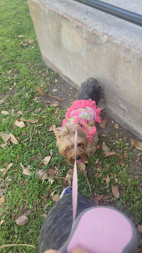 Park «Antonio Maceo Park», reviews and photos, 5135 NW 7th St, Miami, FL 33126, USA