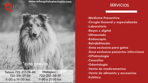Veterinary clinics in Toluca de Lerdo