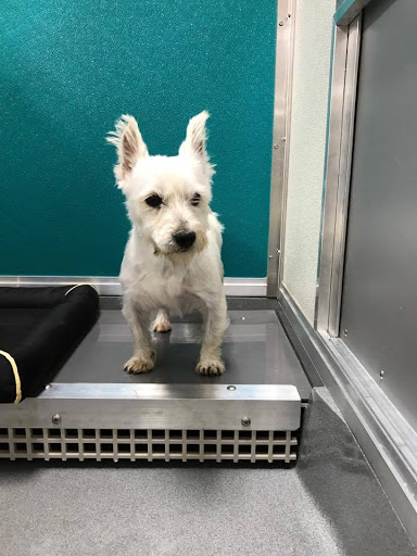 Pet Supply Store «Keystone Pet Place», reviews and photos, 100 W Main St, Mount Joy, PA 17552, USA