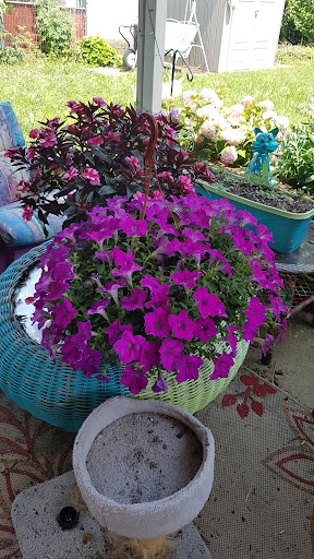 Produce Market «Parkway Produce», reviews and photos, 2601 Preston Hwy, Louisville, KY 40217, USA