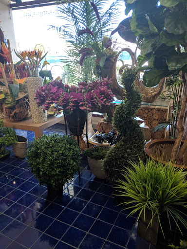 Florist «Flower City Florist», reviews and photos, 917 N Federal Hwy, Fort Lauderdale, FL 33304, USA