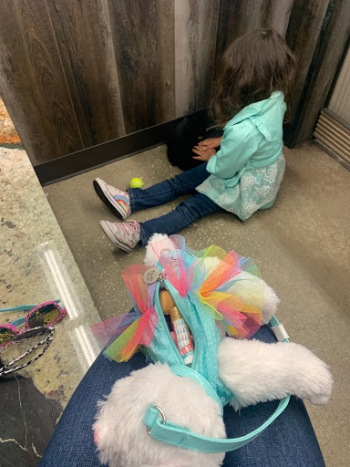 Pet Store «Petland», reviews and photos, 10289 Ulmerton Rd, Largo, FL 33771, USA