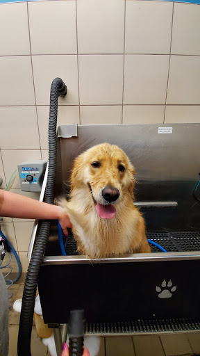 Pet Supply Store «Pet Supplies Plus», reviews and photos, 955 Co Rd E East #100, Vadnais Heights, MN 55127, USA