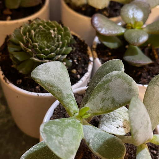 Beauty Salon «Strands Hair Spa and Boutique», reviews and photos, 2918 Nall St, Port Neches, TX 77651, USA