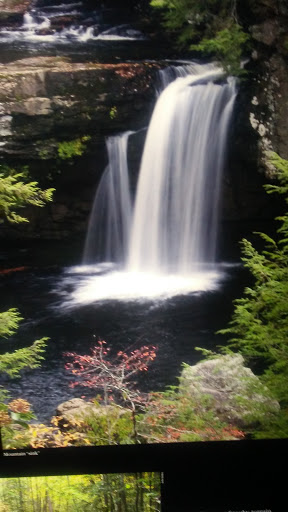 Aquarium «Tennessee Aquarium», reviews and photos, 1 Broad St, Chattanooga, TN 37402, USA