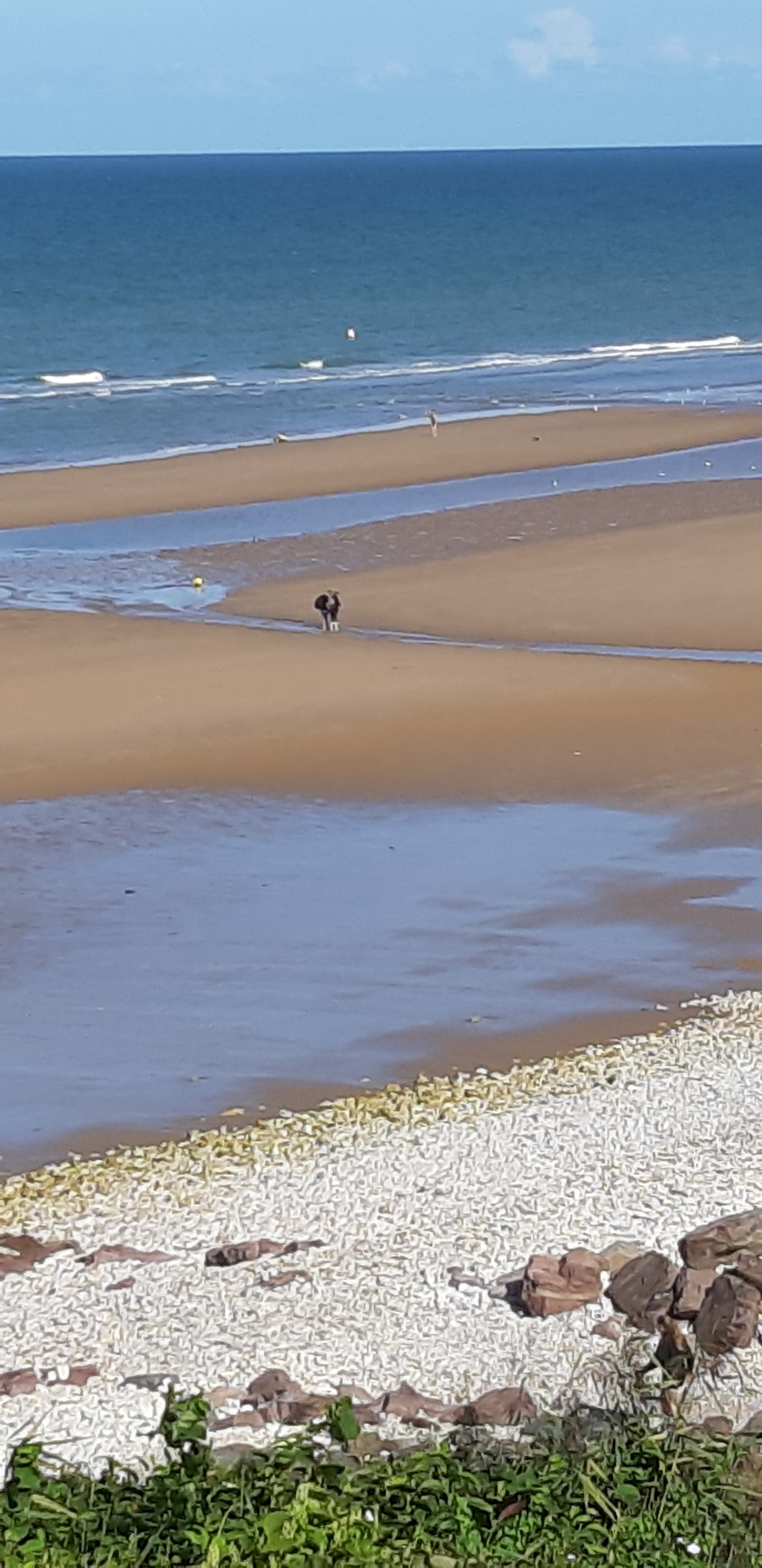 Photo n° 13 de l'avis de Did.o fait le 01/09/2019 à 22:30