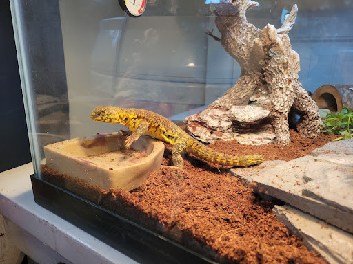 Pet Supply Store «Petco Animal Supplies», reviews and photos, 16434 N Marketplace Blvd, Nampa, ID 83651, USA