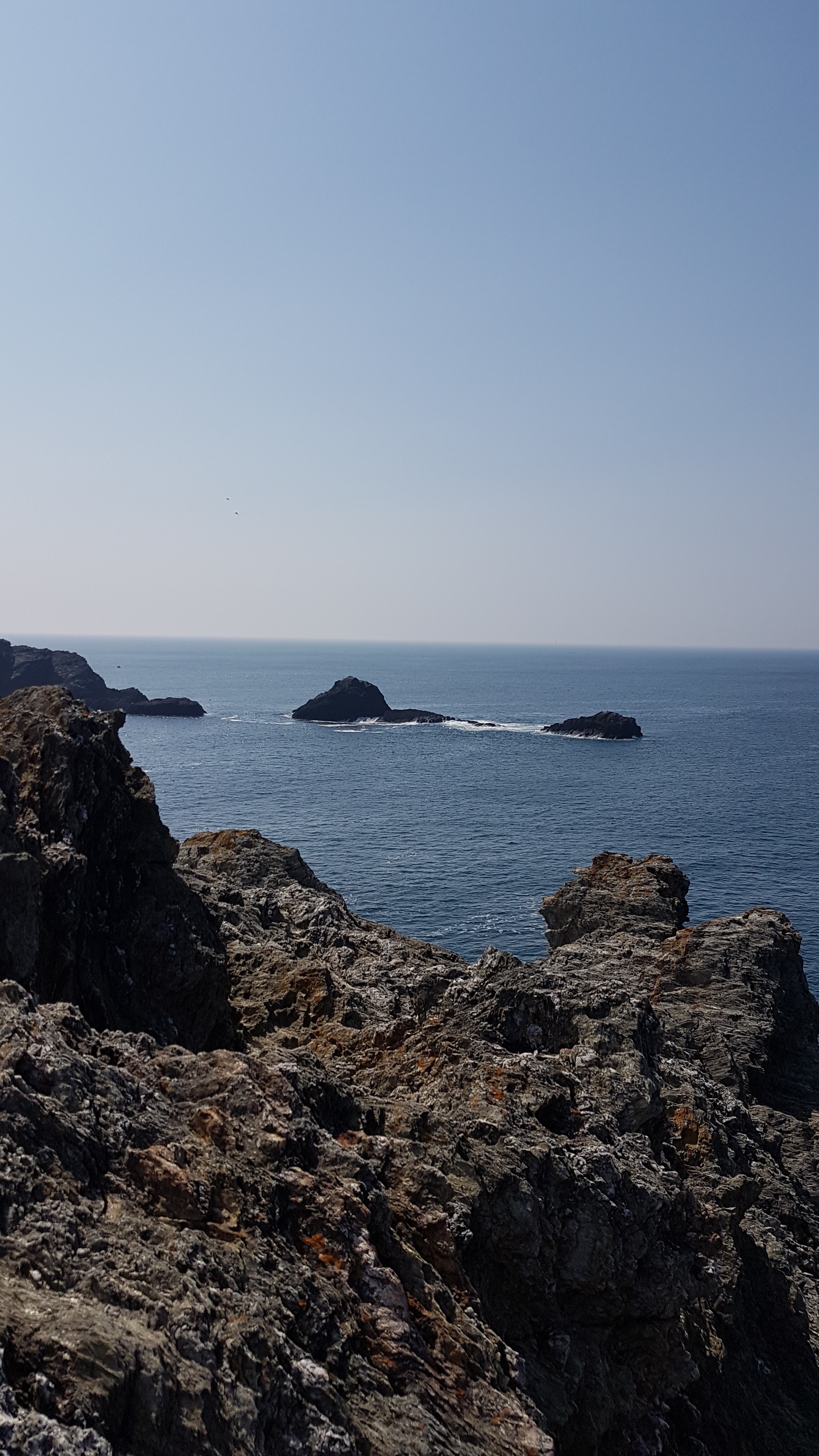 Photo n° 5 de l'avis de Sylvaine.e fait le 20/04/2019 à 22:18