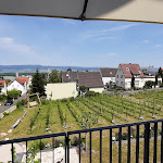 Photo n°2 de l'avis de Kurios.e fait le 04/07/2021 à 16:14 sur le  Winzerkeller Restaurant * Bar & Terrasse à Ingelheim am Rhein