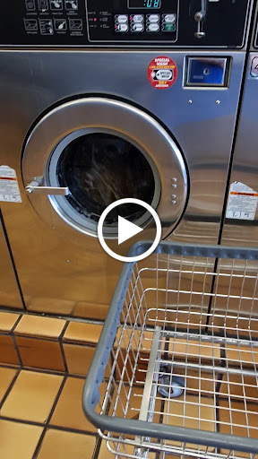 Laundromat «Mac Arthur Road Coin Laundry», reviews and photos, 2191 MacArthur Rd, Whitehall, PA 18052, USA