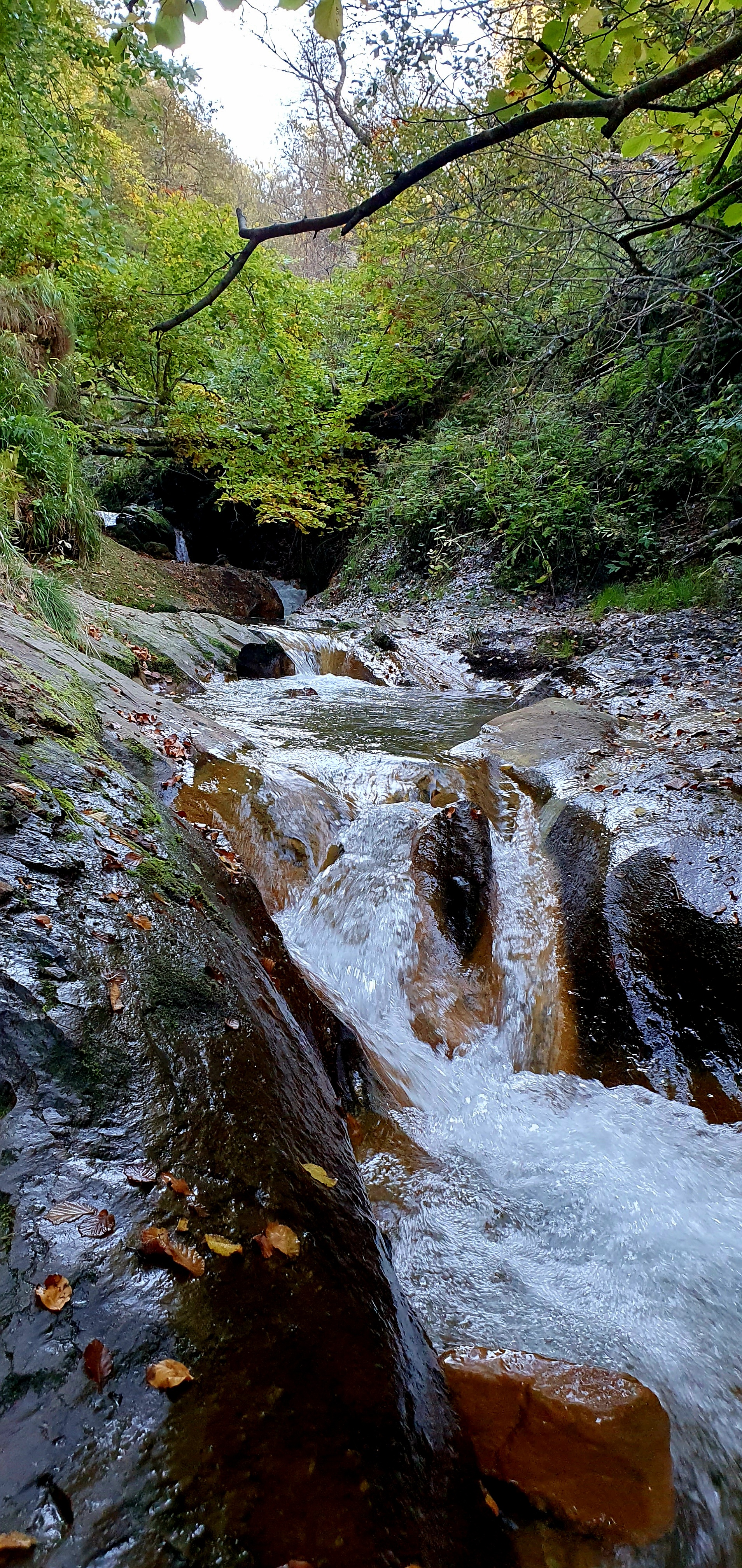 Photo n° 2 de l'avis de Stéphanie.h fait le 13/10/2023 à 07:12