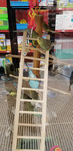 Pet Supply Store «Petco Animal Supplies», reviews and photos, 4012 W 27th Ave, Kennewick, WA 99337, USA