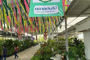 ตลาดต้นไม้ Green Market โฮมโปรระยอง image