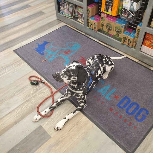 Gift Shop «Nautical Dog LLC», reviews and photos, 5104 Main St, Williamsburg, VA 23188, USA