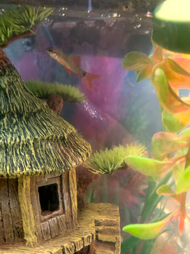 Pet Supply Store «PetSmart», reviews and photos, 170 Marketplace Blvd, Hamilton Township, NJ 08691, USA