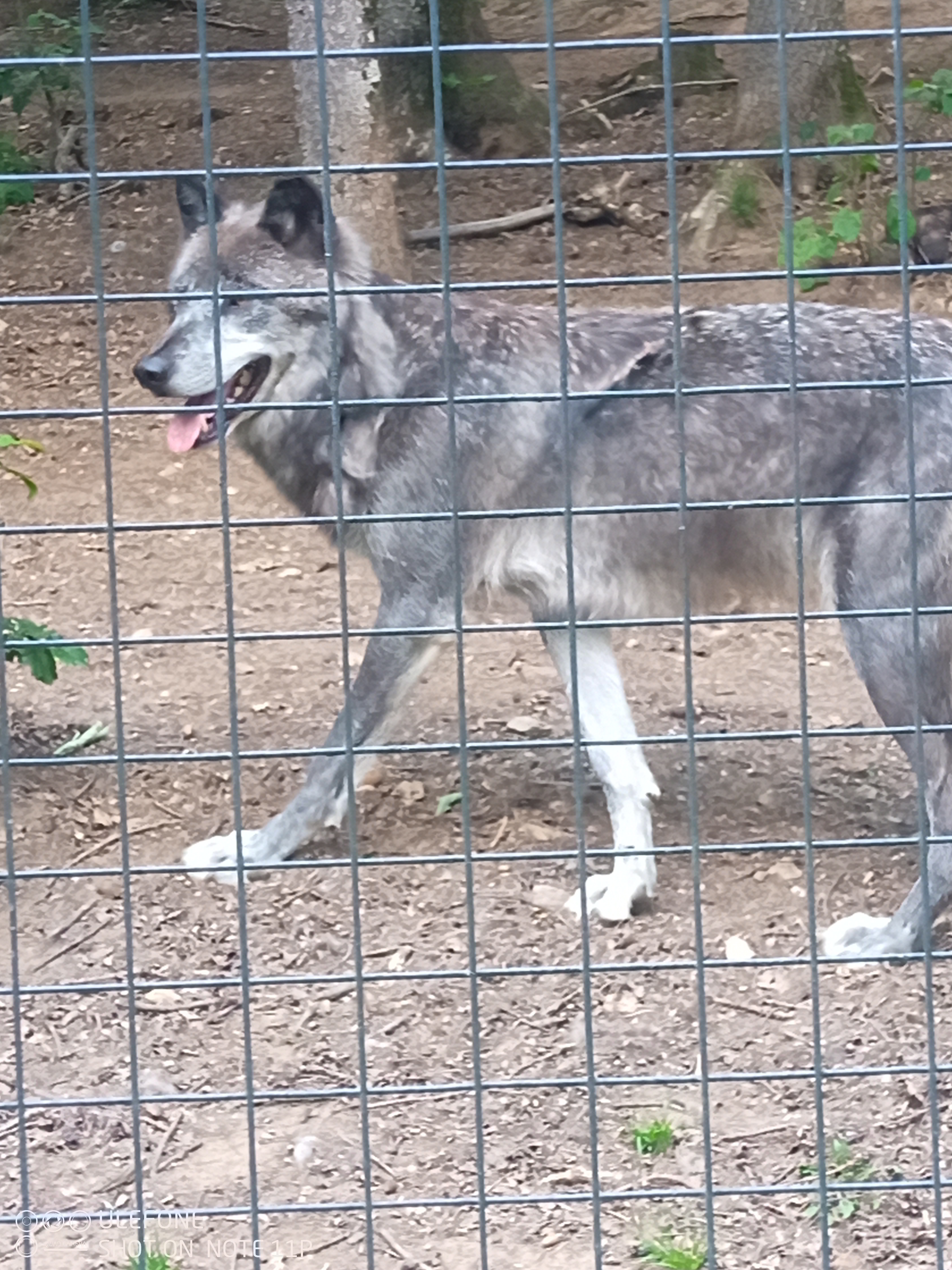 Photo n° 4 de l'avis de bastien.e fait le 20/06/2023 à 20:39