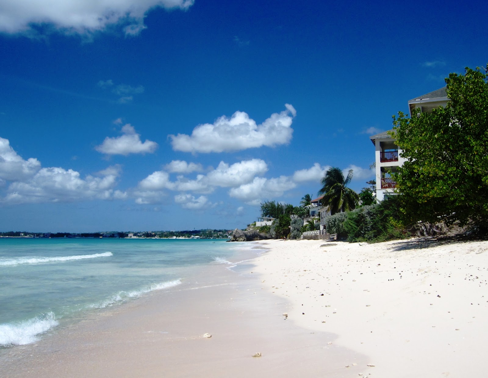 Photo de Freights Bay beach avec sable lumineux de surface