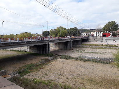 Puente Juana Azurduy