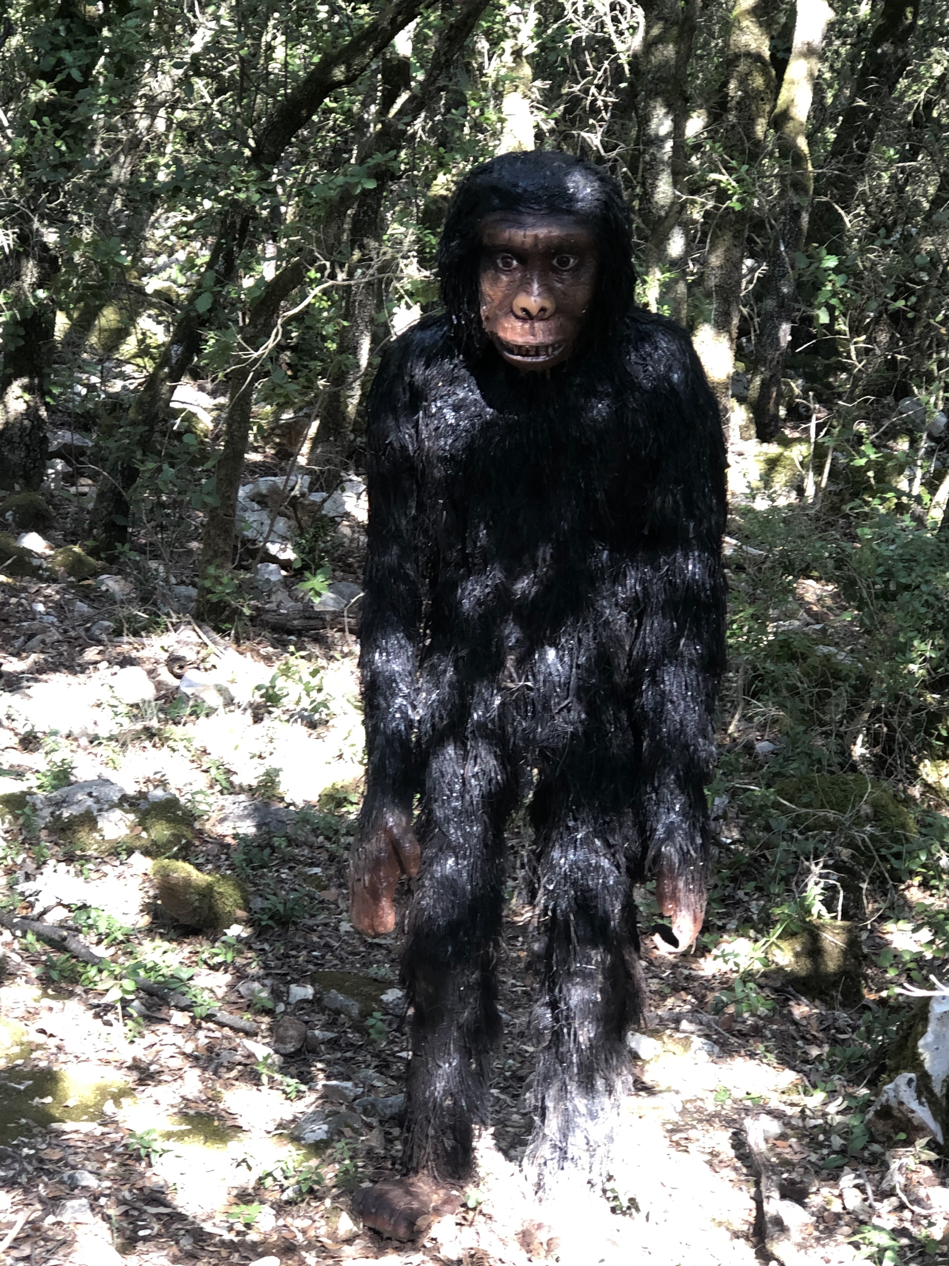 Photo n° 1 de l'avis de Franck.A fait le 14/07/2020 à 16:16