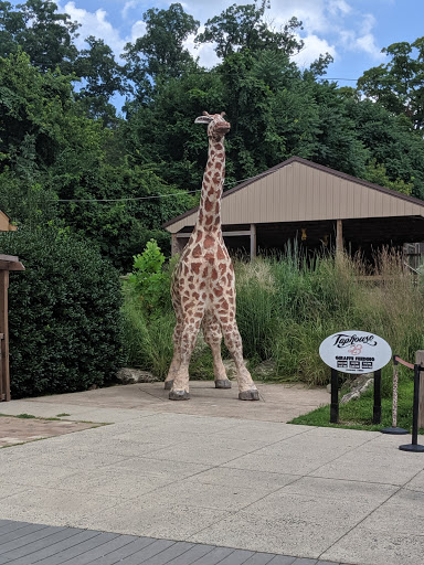 Recreation Center «Go Ape Zip Line & Treetop Adventure - Lums Pond State Park», reviews and photos, 1042 Howell School Rd, Bear, DE 19701, USA