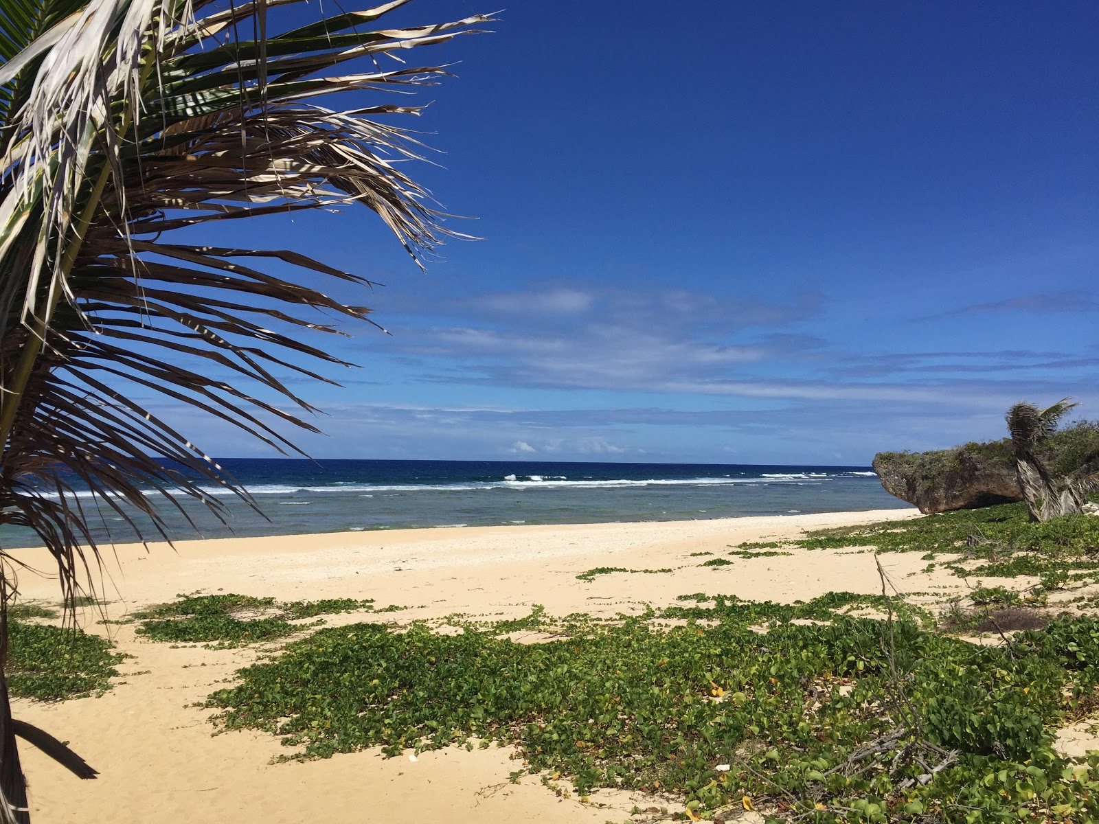 Foto av Tank Beach med turkos rent vatten yta