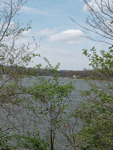 Recreation Center «Go Ape Zip Line & Treetop Adventure - Eagle Creek Park», reviews and photos, 5855 Delong Rd, Indianapolis, IN 46254, USA