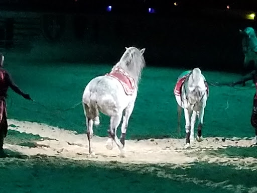 Dinner Theater «Medieval Times Dinner & Tournament», reviews and photos, 5900 Sugarloaf Pkwy #517, Lawrenceville, GA 30043, USA