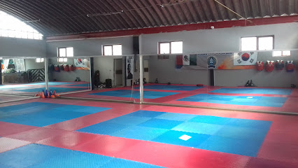 Taekwondo Casta De Campeones - C. Francisco I. Madero 60, San Juan, 56905 Amecameca de Juárez, Méx., Mexico