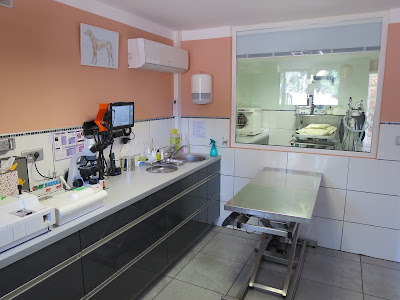 Cabinet Vétérinaire des Plages à Lecci
