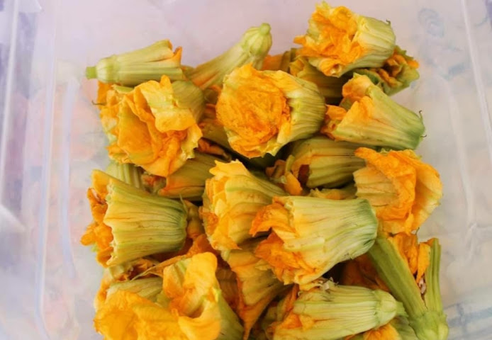 Şef Mehmet'in Balık Evi by null